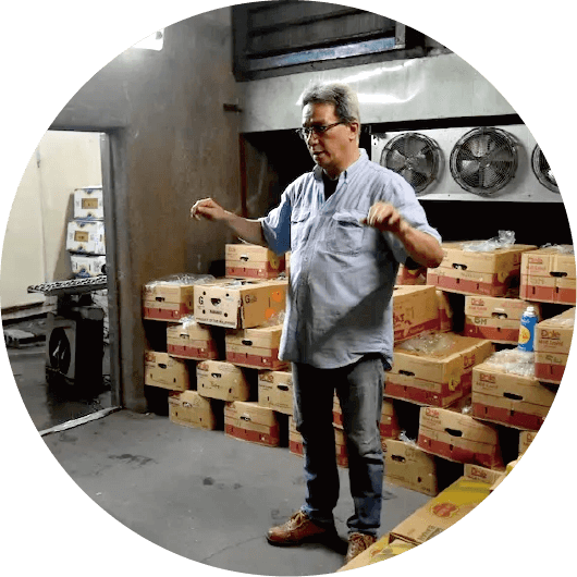 熊本にあるバナナ追熟用の室