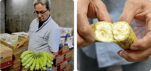 芯までしっかり熟成